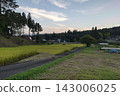 tranquil scenery of the countryside 143006025