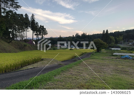 寧靜的田園風光 寧靜的田園風光 143006025