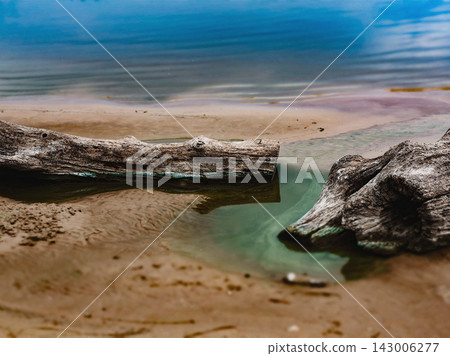 Weathered driftwood lies on a sandy lakeshore beside shallow green water, with a distant wooded shoreline, creating a calm natural scene with organic textures and tranquil outdoor mood for travel use. Weathered driftwood lies on a sandy lakeshore beside shallow green water, with a distant wooded shoreline, creating a calm natural scene with organic textures and tranquil outdoor mood for travel use. 143006277