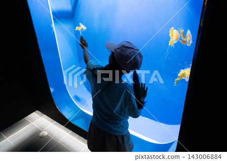 一個女孩在水族館觀察水母。 143006884