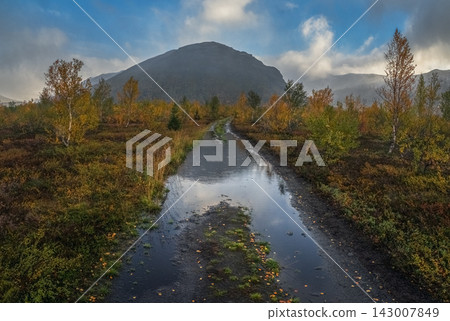 Scenic autumn landscape of Khibiny mountains with flooded dirt road winding through golden tundra towards massive peak, Kola Peninsula, Russian Arctic. Scenic autumn landscape of Khibiny mountains with flooded dirt road winding through golden tundra towards massive peak, Kola Peninsula, Russian Arctic. 143007849