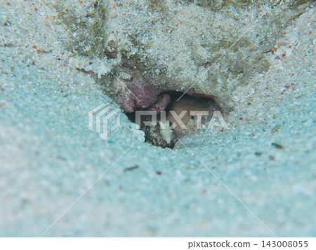 金浦 金浦 143008055