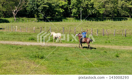 Latino cowboy riding horse with lasso in rural field 143008293