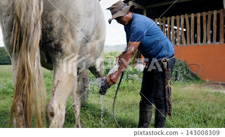 Latino stableman washing horse hoof with water hose Latino stableman washing horse hoof with water hose 143008309