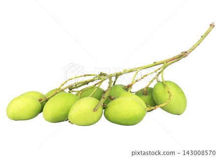 Baby mango sour isolated on white background Baby mango sour isolated on white background 143008570