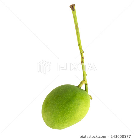 Baby mango sour isolated on white background Baby mango sour isolated on white background 143008577