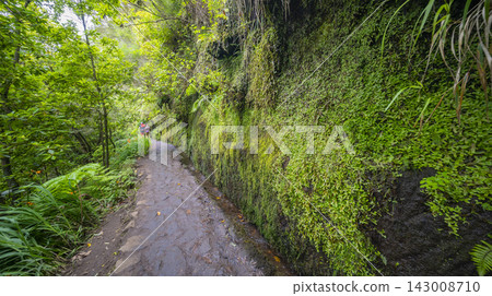 Levada do Caldeirao Verde, Madeira, Portugal Levada do Caldeirao Verde, Madeira, Portugal 143008710