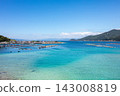 【柏島】盛夏時節，碧綠清澈的海 143008819