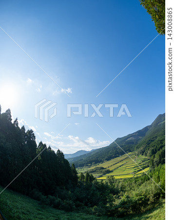 水稻梯田與藍天的風景 水稻梯田與藍天的風景 143008865
