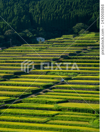 秋日裡,梯田層層疊疊,山村鬱鬱蔥蔥。 秋日裡,梯田層層疊疊,山村鬱鬱蔥蔥。 143008868