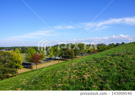 攀登山頂欣賞美景（前田森林公園） 143009540