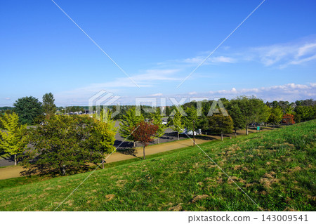 攀登山頂欣賞美景（前田森林公園） 143009541