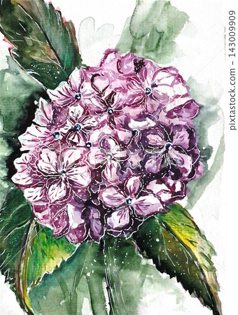 wild rose exotic flower wild rose flower in glass wild rose exotic flower wild rose flower in glass 143009909