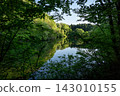 The lush green forest is reflected in the lake. 143010155
