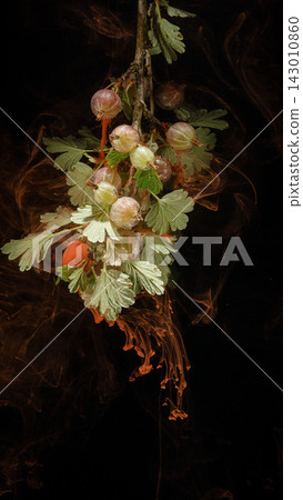 Gooseberry branch with ripening translucent berries and pale green leaves against dark background with dramatic orange smoke swirls in moody botanical still life Gooseberry branch with ripening translucent berries and pale green leaves against dark background with dramatic orange smoke swirls in moody botanical still life 143010860