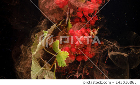 Red currant clusters and green leaves suspended in swirling ink against dark background Red currant clusters and green leaves suspended in swirling ink against dark background 143010863