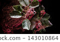 Dark ornamental branch with glossy green leaves and clustered red berries, surrounded by vivid pink smoke for dramatic botanical design on black background 143010864