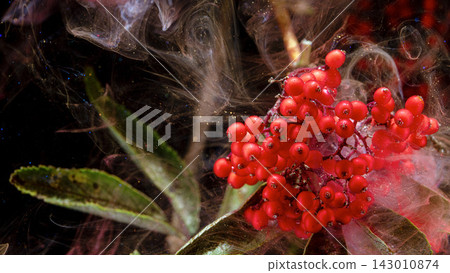 Close-up of glossy red berry cluster with swirling translucent smoke and dark background 143010874