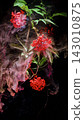 Red berry clusters with green leaves enveloped in swirling pink smoke over black background 143010875