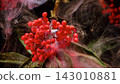 Bright red berry cluster on leafy branch surrounded by drifting smoke and sparkling particles, creating dramatic macro floral detail with dark moody background and festive natural texture 143010881