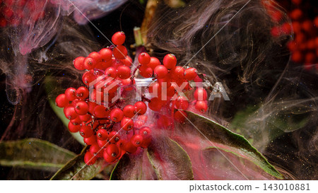 Bright red berry cluster on leafy branch surrounded by drifting smoke and sparkling particles, creating dramatic macro floral detail with dark moody background and festive natural texture 143010881