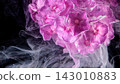 Closeup pink hydrangea cluster bloom with swirling white ink splash on dark background 143010883