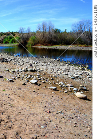 Salt River Recreation Area Arizona Salt River Recreation Area Arizona 143011199