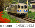 一列秩父鐵道5000系列列車行駛在盛開的紅色彼岸花田旁。 143011438