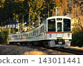 一列西武鐵道4000系列列車從三峰口站出發，直奔池袋站。 143011441
