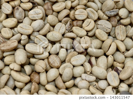 Pile of parchment green coffee beans after drying process Pile of parchment green coffee beans after drying process 143011547