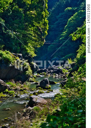 Fresh greenery in Hatonosu Valley / Okutama Fresh greenery in Hatonosu Valley / Okutama 143011908