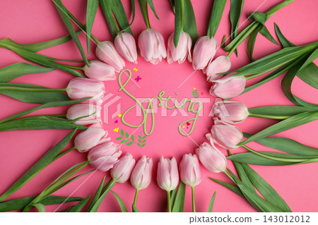 Beautiful tulips on pink background, flat lay. Hello spring Beautiful tulips on pink background, flat lay. Hello spring 143012012