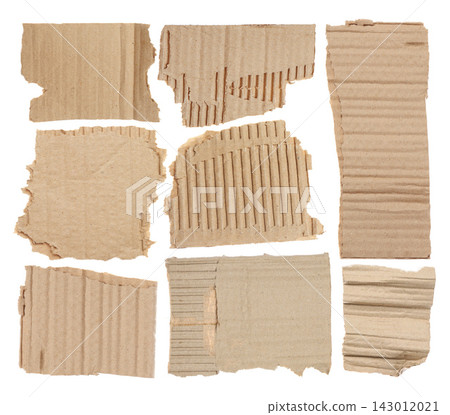 Set with pieces of torn cardboard on white background 143012021