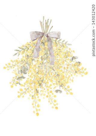 Watercolor, mimosa, bouquet, flowers, dried flowers, ribbon, illustration, stylish, hand-drawn, material Watercolor, mimosa, bouquet, flowers, dried flowers, ribbon, illustration, stylish, hand-drawn, material 143012420