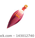 Banana blossom/flowers and ripe banana on white background. 143012740