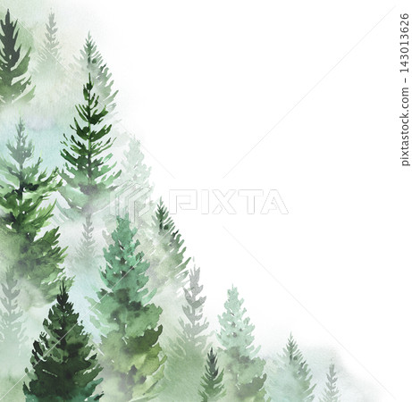 Hand drawn watercolor green spruce or pine tree misty forest, winter isolated illustration, copy space 143013626