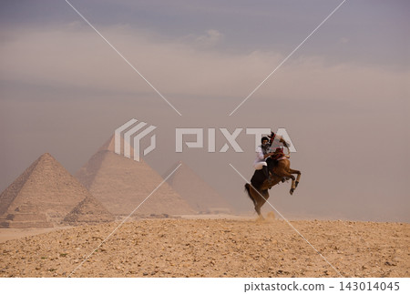 Rearing stallion frozen at full vertical apex as rider in traditional dress maintains control on rocky Giza plateau with three ancient pyramids Rearing stallion frozen at full vertical apex as rider in traditional dress maintains control on rocky Giza plateau with three ancient pyramids 143014045