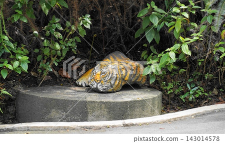 Tiger sculpture in a lush tropical garden environment Tiger sculpture in a lush tropical garden environment 143014578