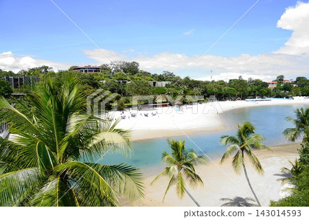 Tropical Beach Paradise with Palm Trees and Resorts Tropical Beach Paradise with Palm Trees and Resorts 143014593