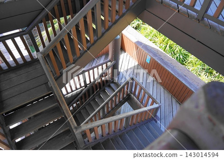 Wooden Staircase Tower Amidst Lush Tropical Greenery Wooden Staircase Tower Amidst Lush Tropical Greenery 143014594