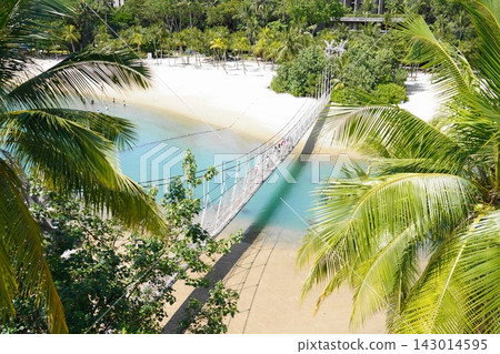 Tropical Beach Paradise with Suspension Bridge and Palm Trees Tropical Beach Paradise with Suspension Bridge and Palm Trees 143014595