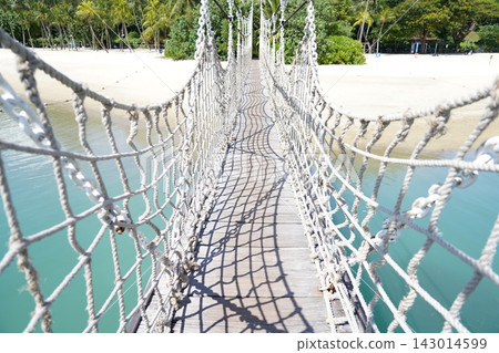 Tropical Rope Bridge Leading to Palm Tree Beach Tropical Rope Bridge Leading to Palm Tree Beach 143014599