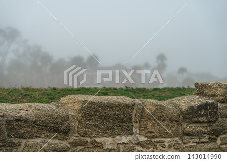 A weathered stone wall stands before a historic building in foggy St. Augustine, Florida. Palm trees and architecture fade into the dense coastal mist. A weathered stone wall stands before a historic building in foggy St. Augustine, Florida. Palm trees and architecture fade into the dense coastal mist. 143014990