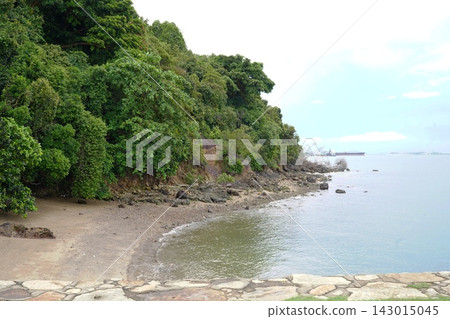 Tropical Beach with Lush Hillside and Distant Ship Tropical Beach with Lush Hillside and Distant Ship 143015045
