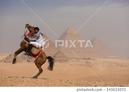 Dramatic action of an Arab horseman riding a rearing horse on the sandy Giza plateau with the iconic ancient pyramids towering in the hazy background Dramatic action of an Arab horseman riding a rearing horse on the sandy Giza plateau with the iconic ancient pyramids towering in the hazy background 143015072