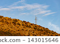 Solitary shrub on sunlit dry hillside with golden vegetation under clear blue sky and wispy clouds 143015646