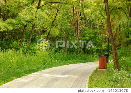A peaceful paved walkway winding through a lush green forest park on a bright summer afternoon A peaceful paved walkway winding through a lush green forest park on a bright summer afternoon 143015678