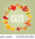 Autumn Banner And Autumn Leaves Vector Illustration 143016384