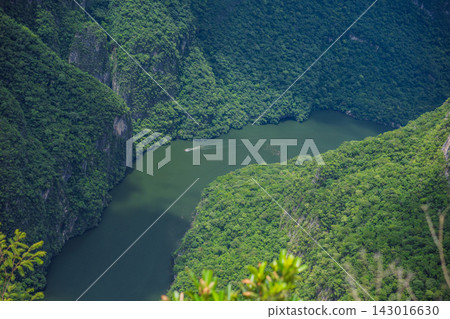 Scenic landscape showing the green Grijalva River winding through Sumidero Canyon in Chiapas Mexico with steep canyon walls lush landscape river overlook nature tourism and a wide scenic view. Scenic landscape showing the green Grijalva River winding through Sumidero Canyon in Chiapas Mexico with steep canyon walls lush landscape river overlook nature tourism and a wide scenic view. 143016630