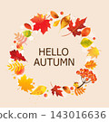 Autumn Banner And Autumn Leaves Vector Illustration 143016636